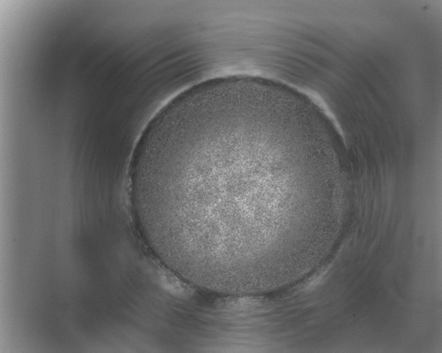 X0000069840879200605261904