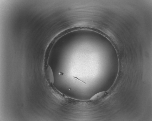 X0000069840880200605261904