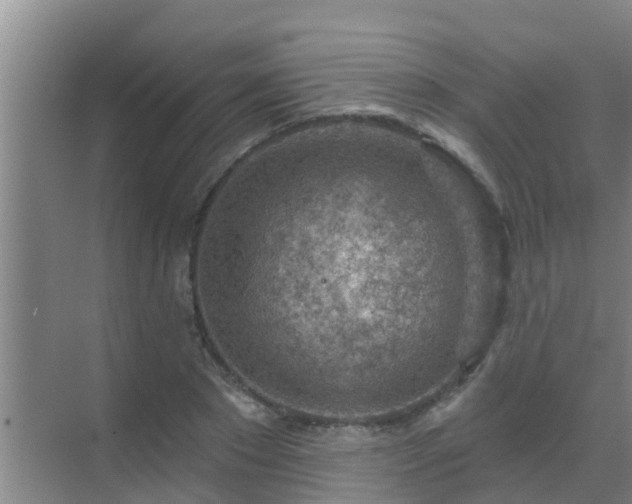 X0000069840881200605261904