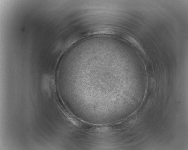 X0000069840882200605261904