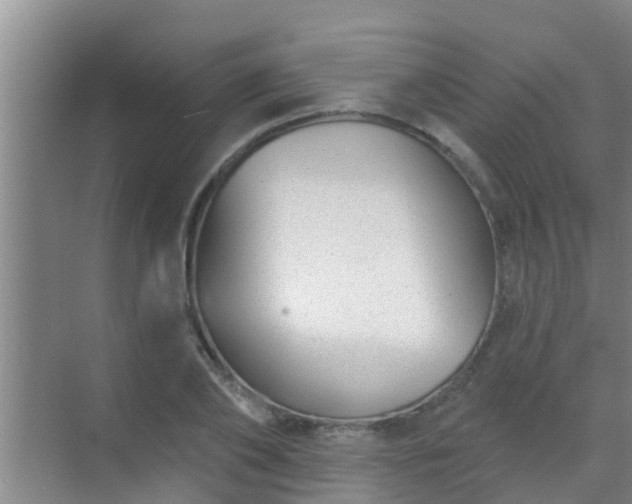 X0000069840886200605261904