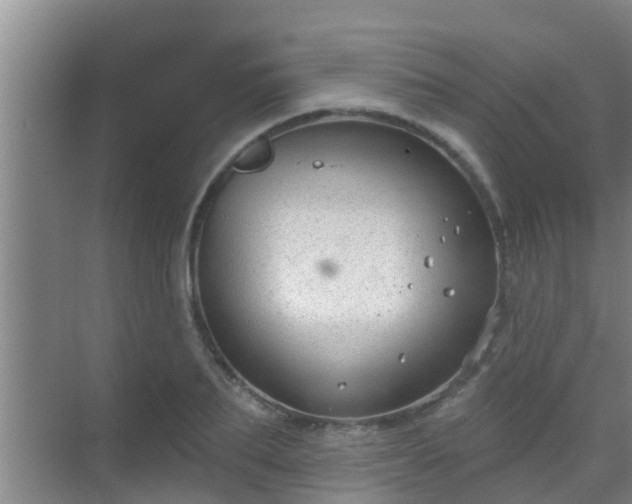 X0000069840887200605261904