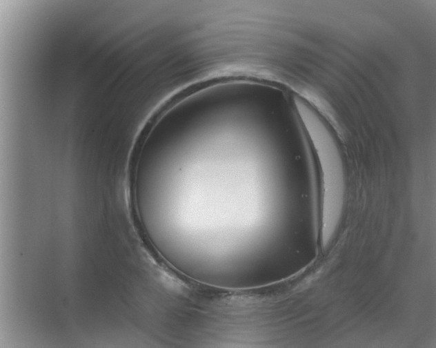 X0000069840888200605261904