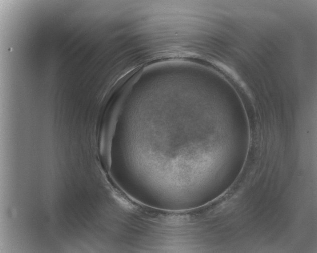 X0000069840889200605261904