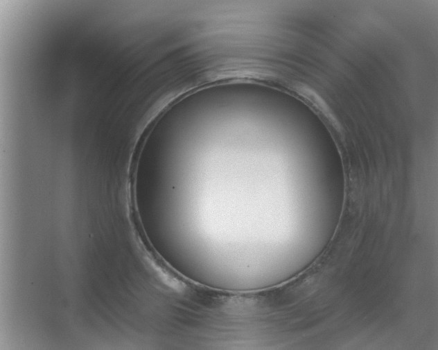 X0000069840890200605261904