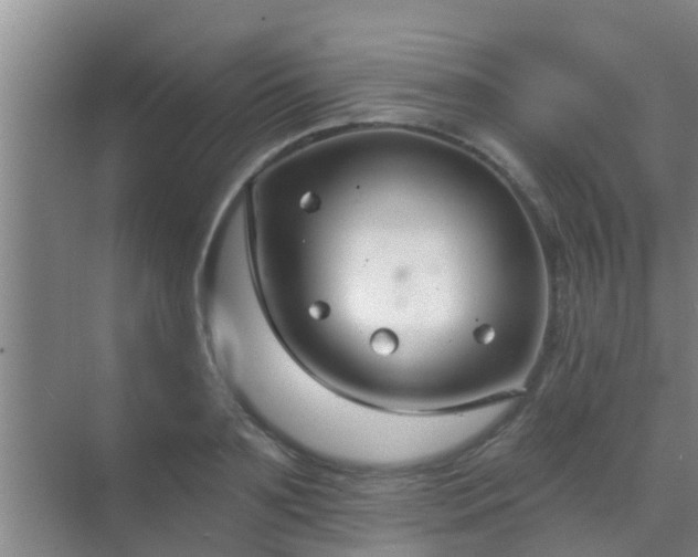 X0000069840891200605261904