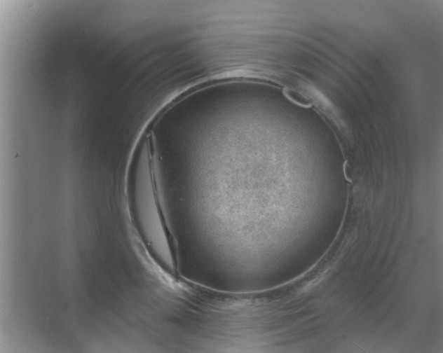 X0000069840892200605261904