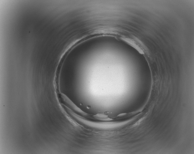 X0000069840893200605261904