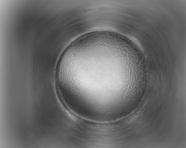 X0000069840895200605261904