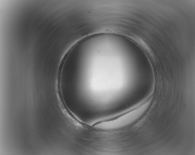 X0000069840896200605261904