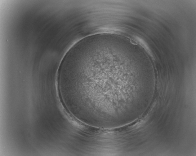 X0000069840899200605261904