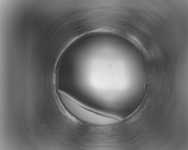 X0000069840900200605261904