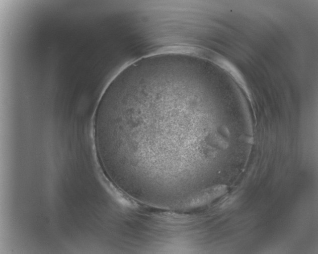 X0000069840907200605261903