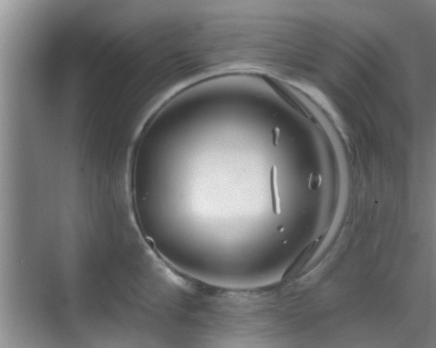 X0000069840910200605261903