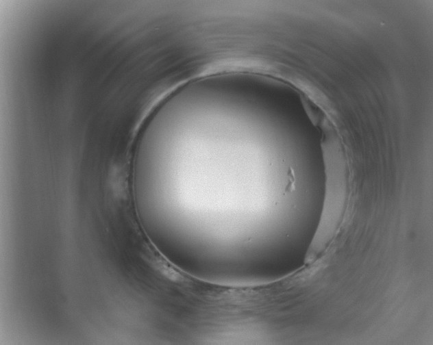 X0000069840912200605261903