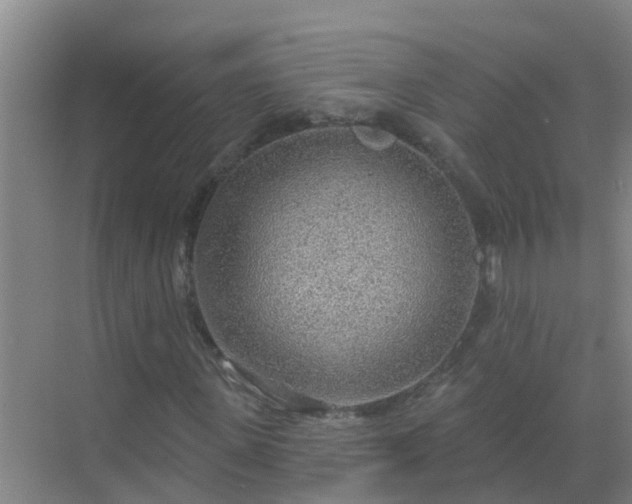 X0000069840915200605261903