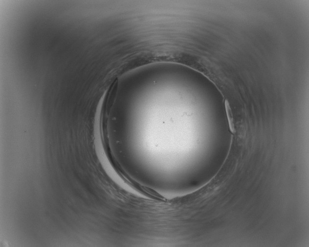 X0000069840916200605261903