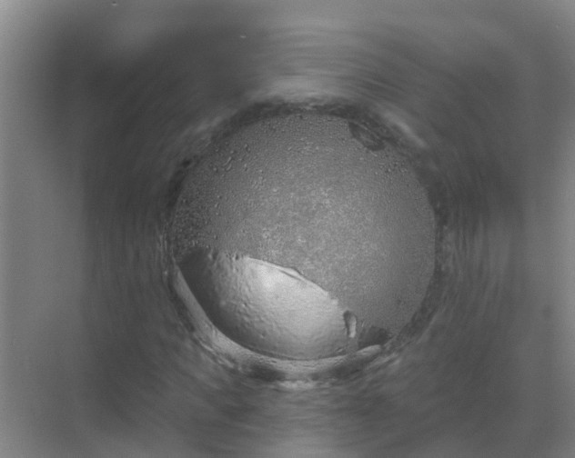 X0000069840917200605261903