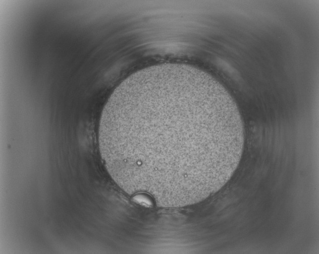 X0000069840918200605261903