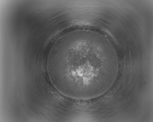 X0000069840919200605261903