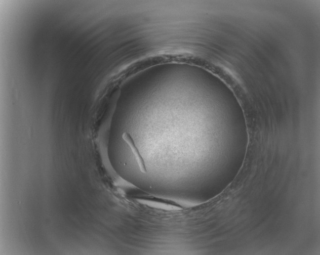 X0000069840920200605261903