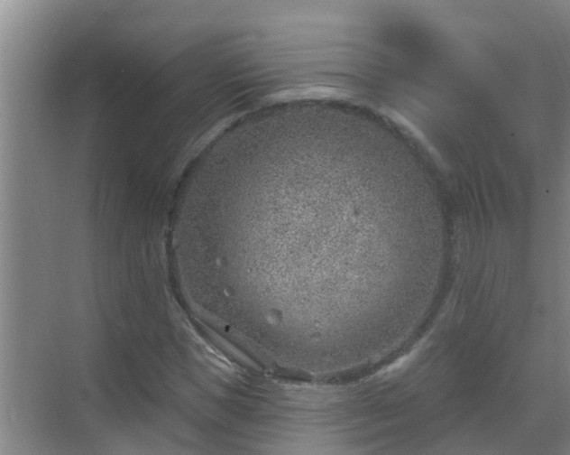 X0000069840921200605261903