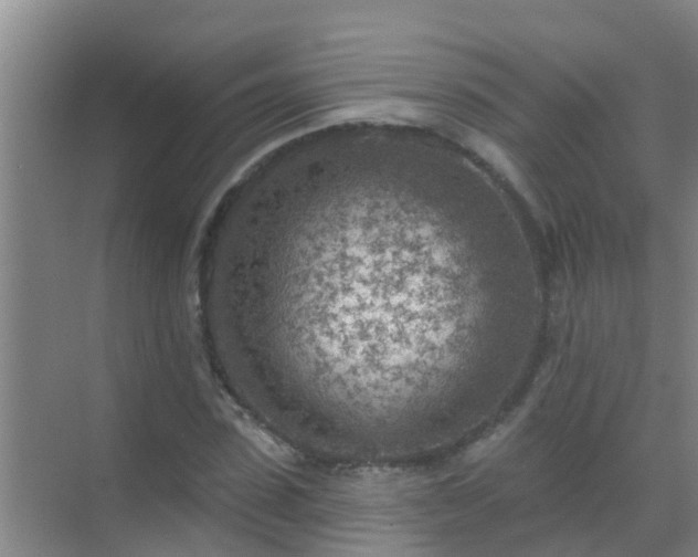 X0000069840923200605261903