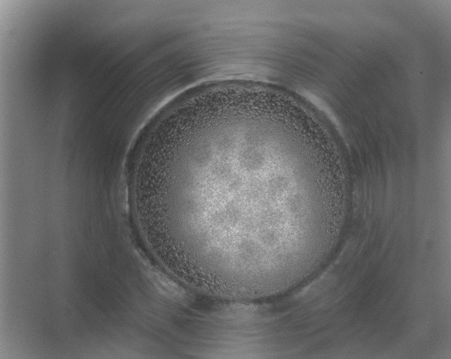 X0000069840925200605261903