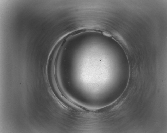 X0000069840932200605261903