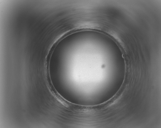 X0000069840933200605261903