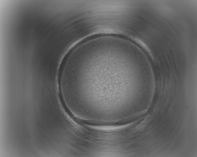 X0000069840935200605261903