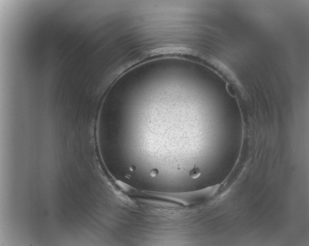 X0000069840937200605261903