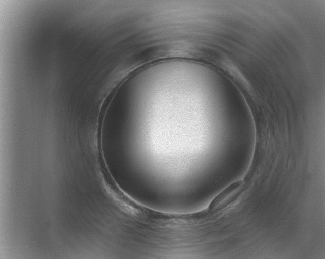 X0000069840938200605261903