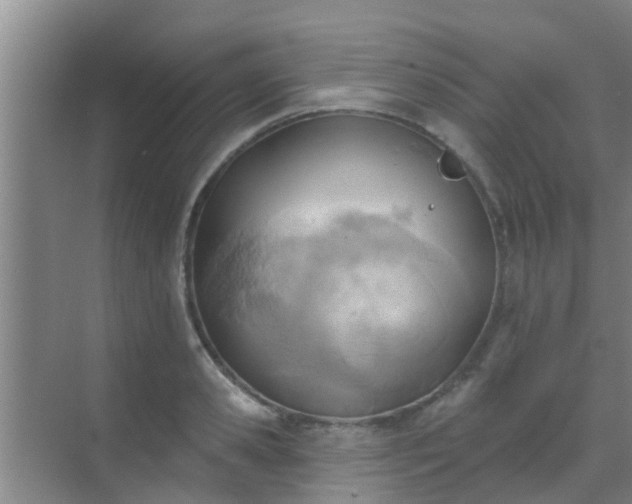 X0000069840941200605261903