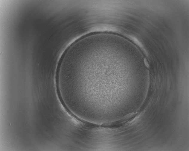 X0000069840943200605261903