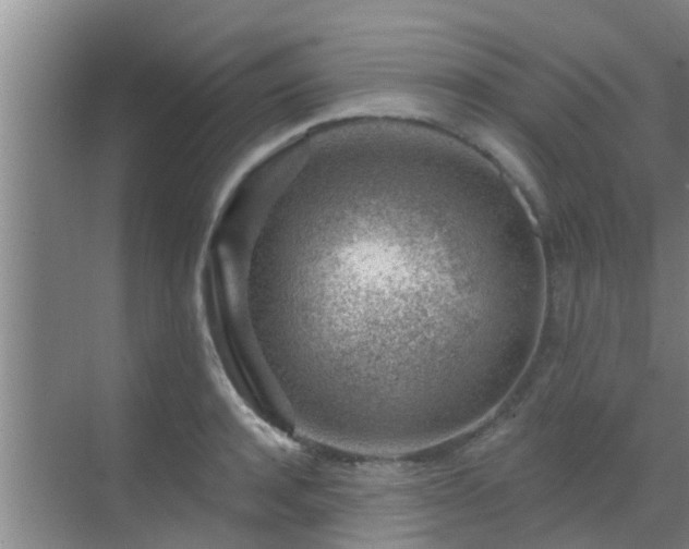 X0000069840944200605261903