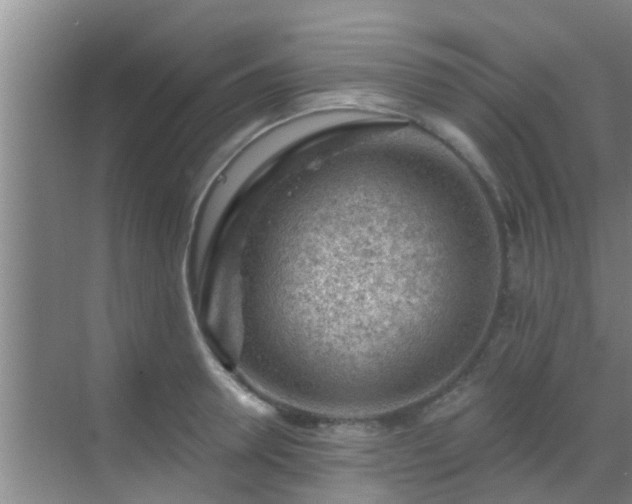 X0000069840946200605261903