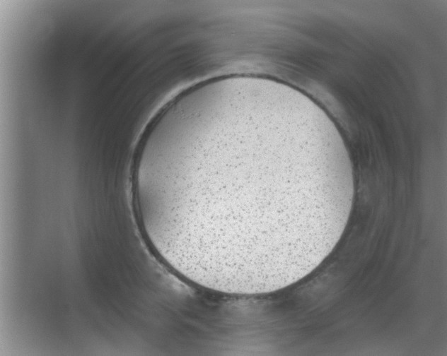 X0000069840950200605261903