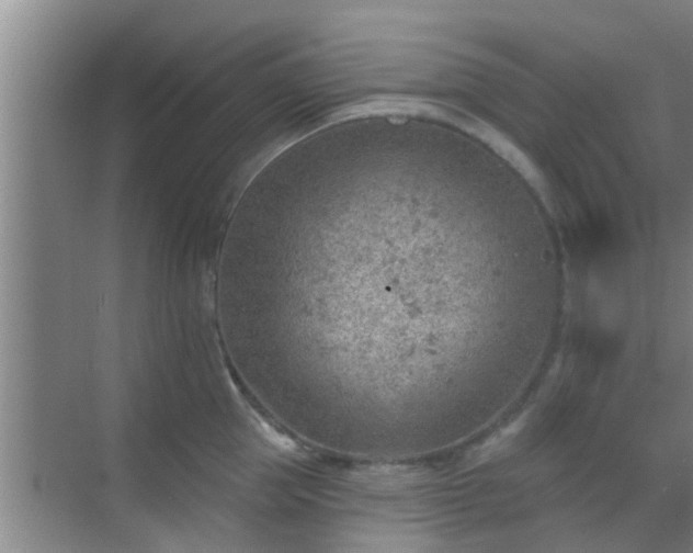 X0000069840953200605261903