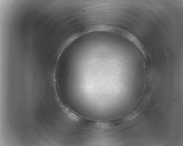 X0000069840954200605261903