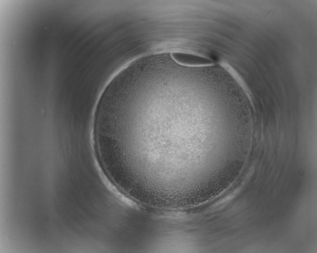 X0000069840957200605261903