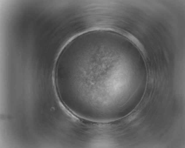 X0000069840958200605261903