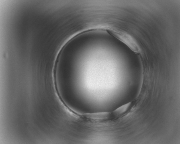 X0000069840959200605261903