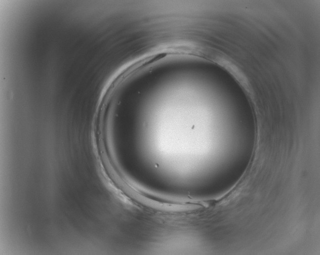 X0000069840960200605261903