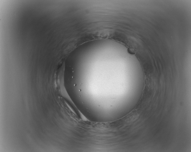 X0000069840962200605261902