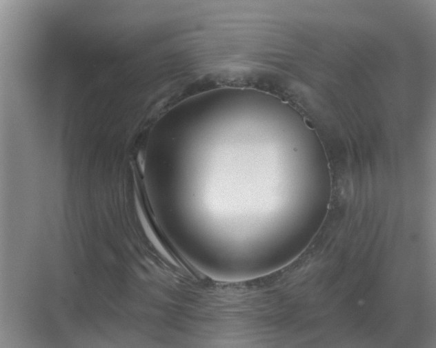 X0000069840964200605261902