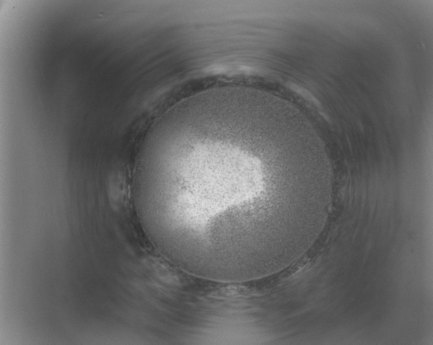 X0000069840966200605261902