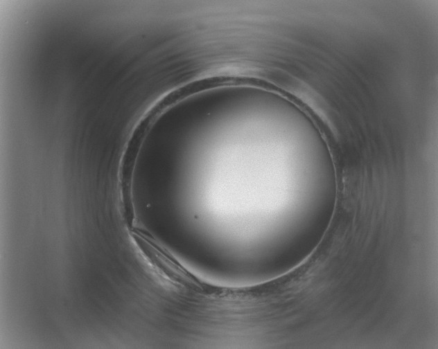 X0000069840972200605261902