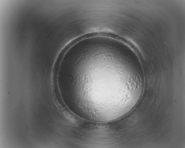 X0000069840975200605261902