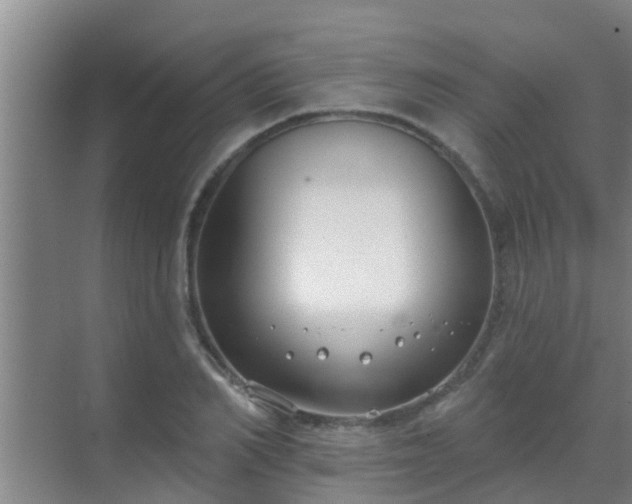 X0000069840982200605261902